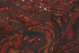 Polished Tiger Iron Stromatolite Slab - Billion Years #222107-1